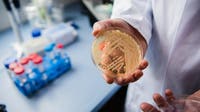 New study reveals why dangerous fungus is so difficult to treat