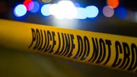Toddler, two others found shot dead after mysterious 911 call for 'help'