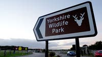Tiger that killed man at wildlife park will not be euthanized, officials say