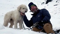Watch: Dog lost in Alaska avalanche miraculously found 2 days later