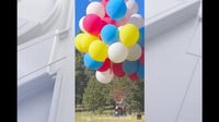 Watch: Man uses helium balloon bouquet to lift gondola into the sky