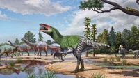 New long-clawed dinosaur species identified from century-old fossil in museum drawer