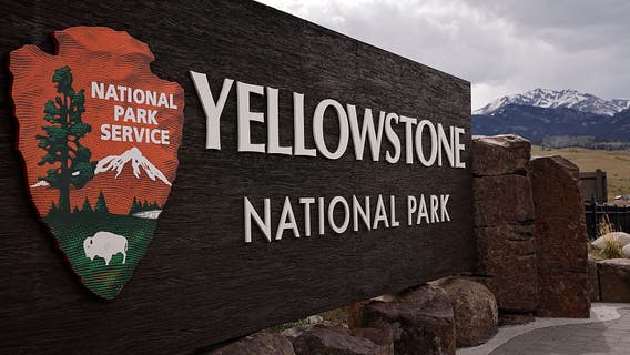Missing dog Luna rescued after more than a month in Yellowstone National Park