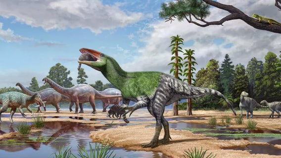 New long-clawed dinosaur species identified from century-old fossil in museum drawer