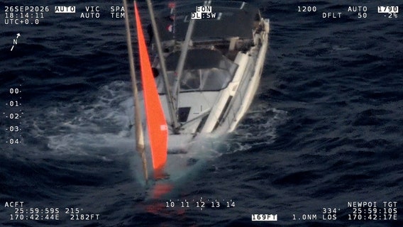 Watch: Yacht sinks after hitting pod of whales, crew rescued hours later