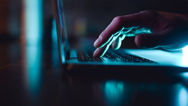 FBI and French police seize major photo-leaking sites over alleged child sex abuse material