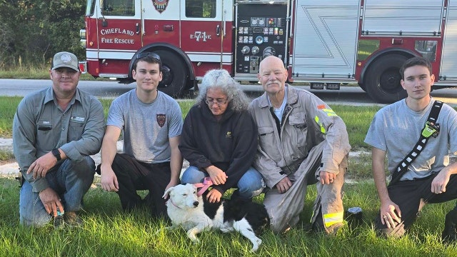 Reunited: Florida first responders rescue dog from sinkhole