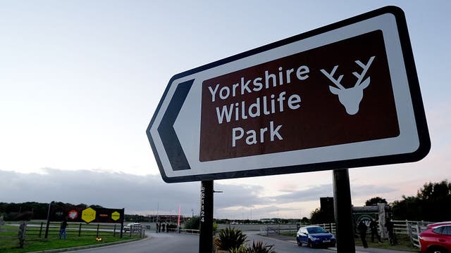 Tiger that killed man at wildlife park will not be euthanized, officials say