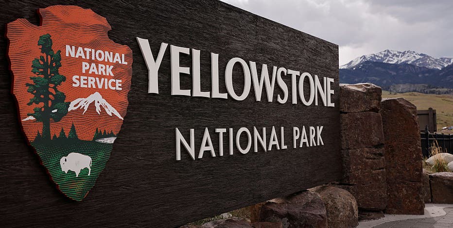 Missing dog Luna rescued after more than a month in Yellowstone National Park