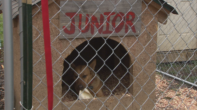 Shelter's new fence helps Fulton County boy keep dog safe