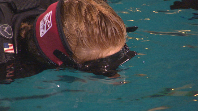 Children's Healthcare of Atlanta patients swim with 'gentle giants'