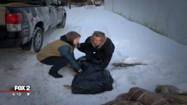 Frozen dog found dumped behind Detroit party store