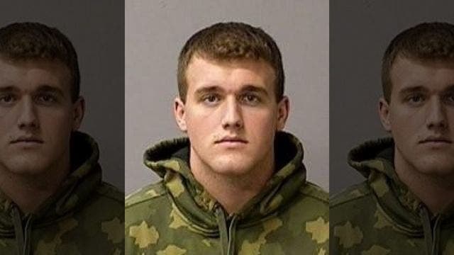 Teen arrested for throwing kitten into water in 'disturbing' viral video