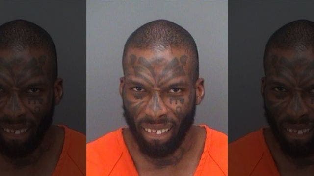 Florida man climbs playground, tells kids where babies come from