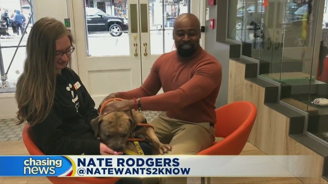 $2 pet adoption fees in SoHo this weekend