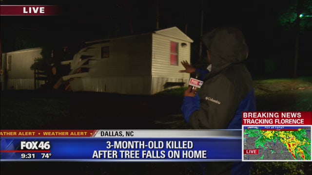 3-month-old killed by fallen tree in Gaston County
