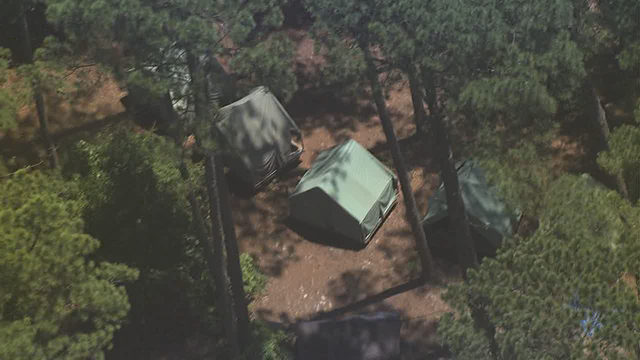 Officials identify Texas Boy Scout killed by falling tree at Georgia camp