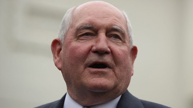 Agriculture Secretary Sonny Perdue to skip State of the Union to serve as 'designated survivor'