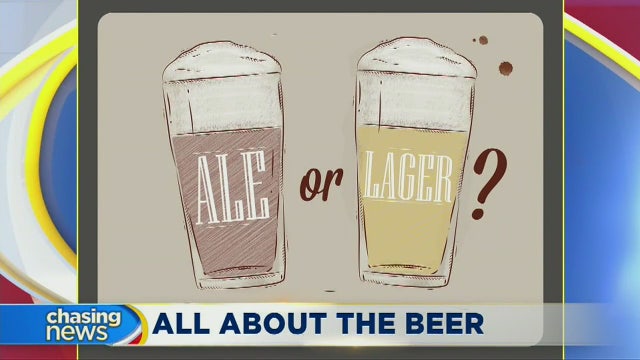 Ale vs. lager preference says a lot about you