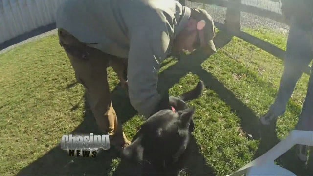 Army veteran with PTSD denied from restaurant due to "no dogs" policy