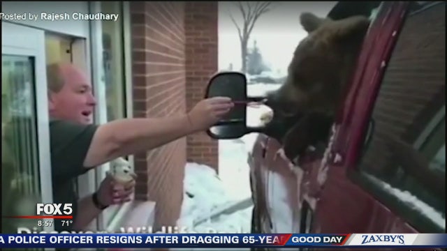 Baby bear takes trip to Dairy Queen drive-thru