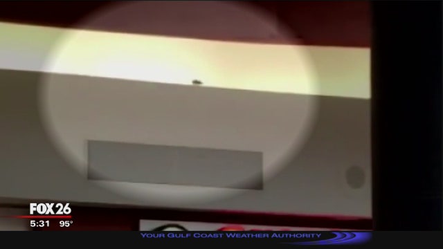 Rodent captured on video at Baybrook Mall food court