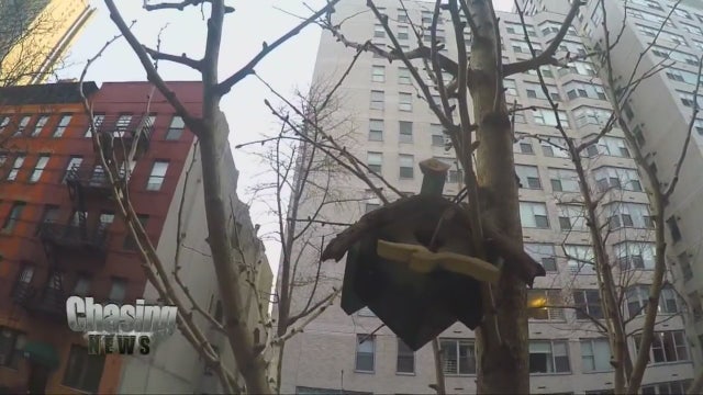 Mystery birdhouses pop up in Manhattan