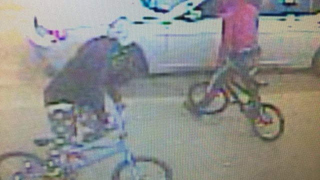 Houston mom shot to death in attempted carjacking