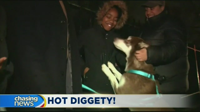 Brooklyn family reunited with pet dog found in Florida