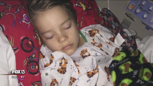 Boy recovers from snake bite, but family faces more than $200,000 medical bill