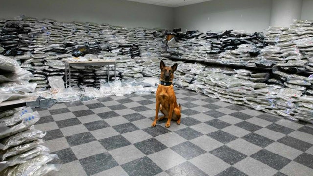 Chicago Police dog finds $10M worth of pot during traffic stop in Midlothian