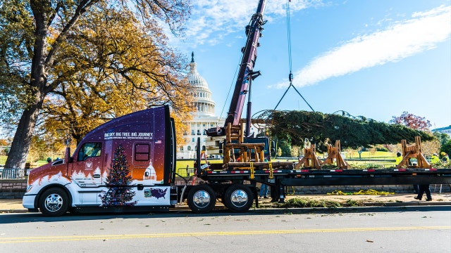 Capitol Christmas Tree arrives in DC