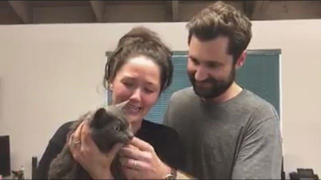 Cat reunites with California owners after mudslides destroy home