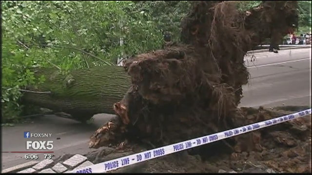 Woman, child seriously injured by falling tree in Central Park