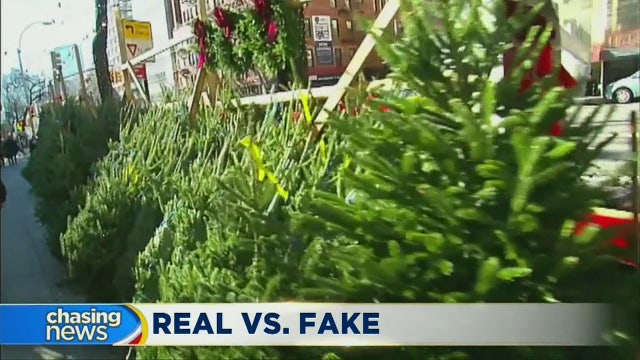 Christmas trees: Team Real or Team Fake?
