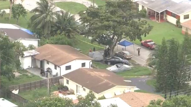 Dog mauls baby girl in South Florida