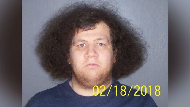 Hoffman Estates man accused of luring 11-year-old girl over online game