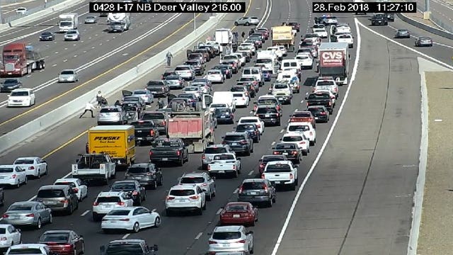Dogs running on highway cause Interstate 17 traffic jam