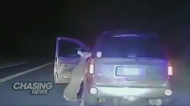 Deer tries to jump inside SUV that hit it