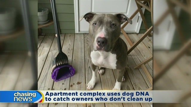 Dog DNA helps keep apartment grounds clean
