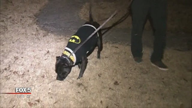 Dog credited with helping missing woman