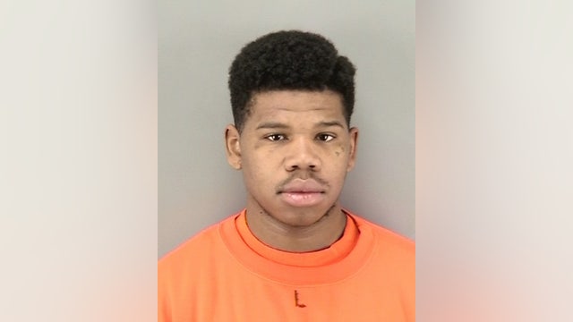 SFPD looking for man who slammed puppy into floor, killing it