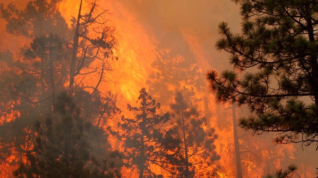 Judge: Teen must repay $37M for starting Oregon wildfire