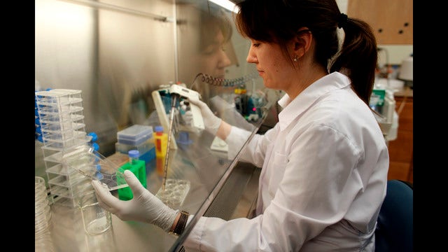 California, Florida stem cell clinics target of US lawsuit