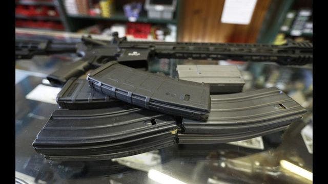 Oregon youth softball program to raffle AR-15-style gun