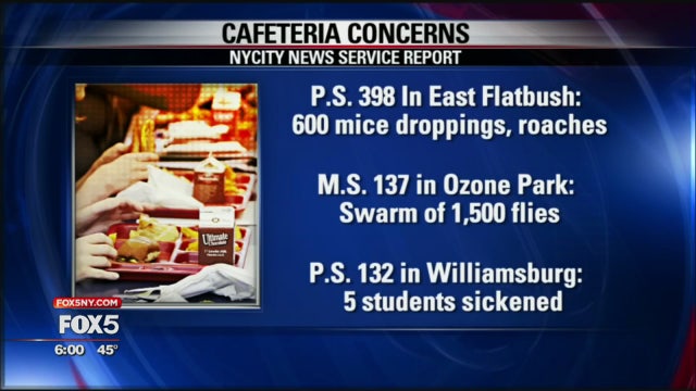 Study finds critical health violations at NYC schools