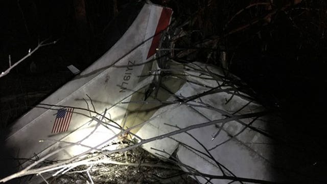 Dog sole survivor after plane headed to Maryland crashes in Indiana, killing 3 people, other dog