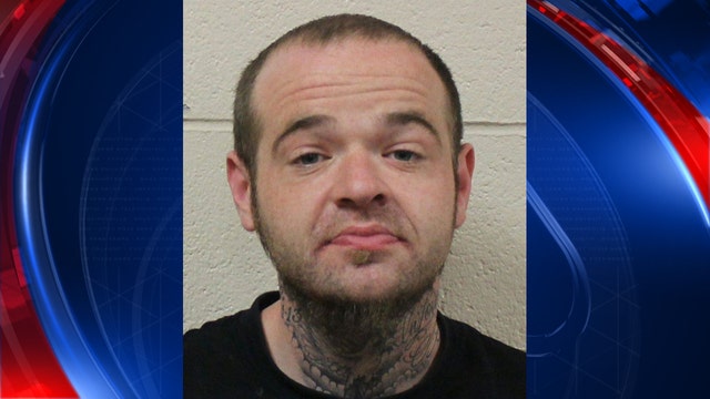 Would-be thief foiled by angry cat in Maryland