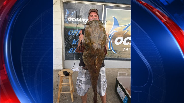 Virginia man catches 68lbs catfish, beats 25-year state record