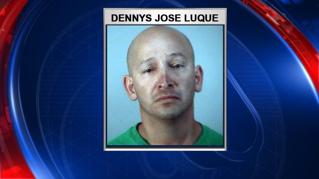 Dog fitted with diving weights drowns